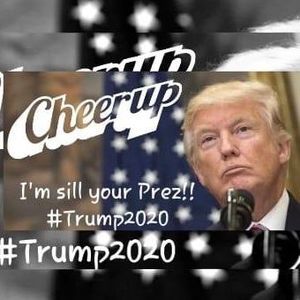 Meet your Posher, Renee